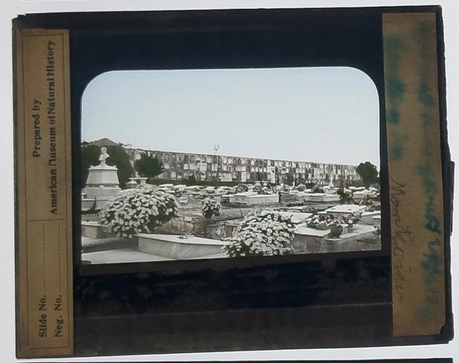 Vintage lantern slide Venice Isle of the Dead - hand-tinted 3.25x4 in photo,