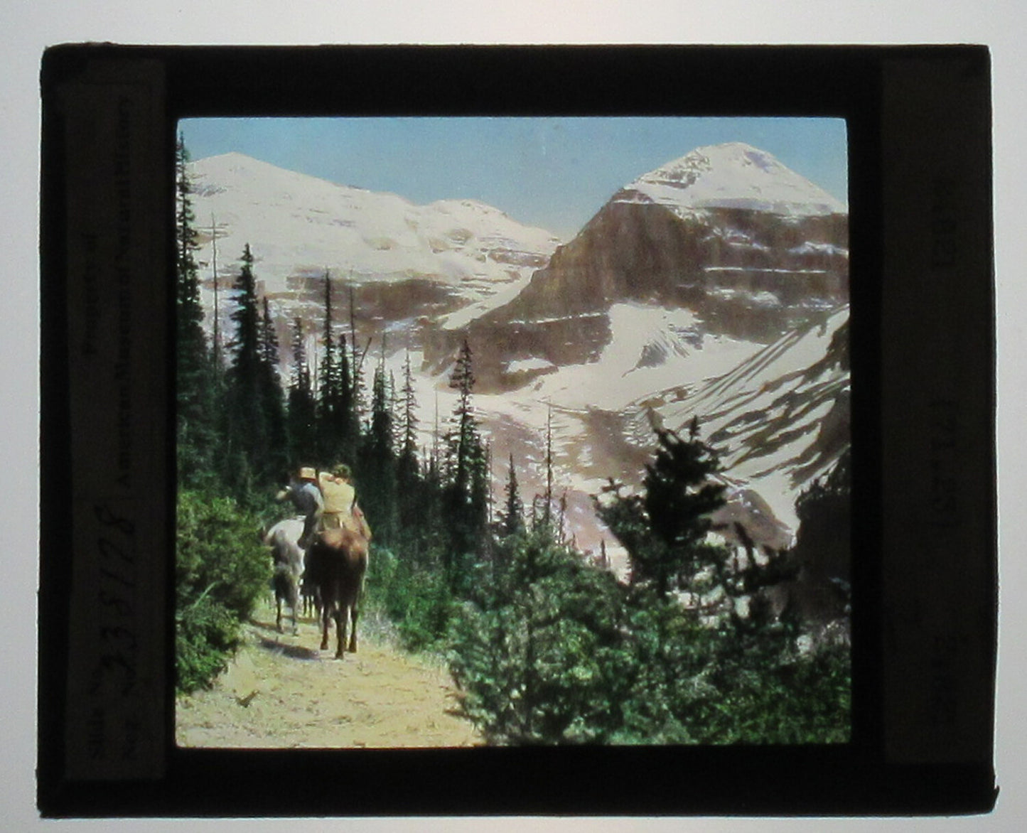 UPPER GLACIER TRAIL, ALBERTA, CANADA. HAND COLORED PHOTO ON GLASS.