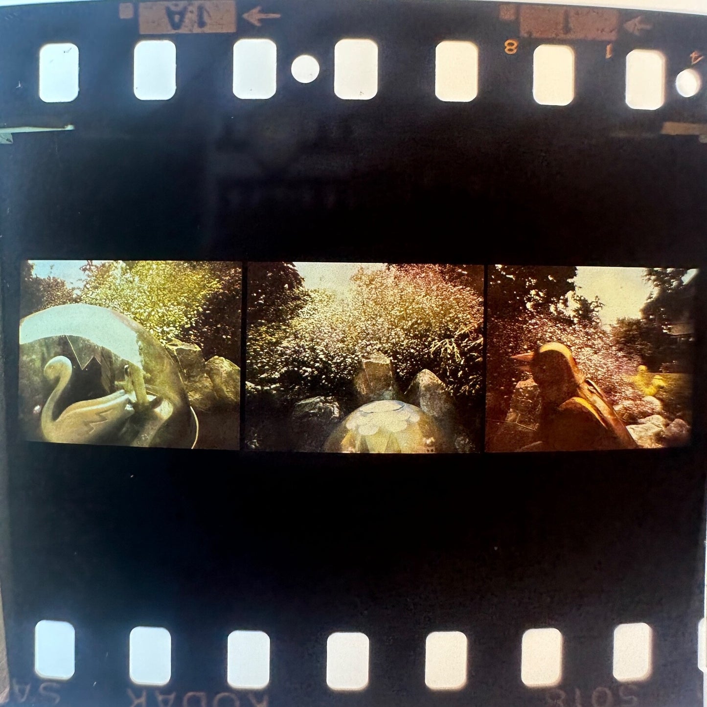 Professional Photography Unknown Large Lot 35mm Unmounted Slides
