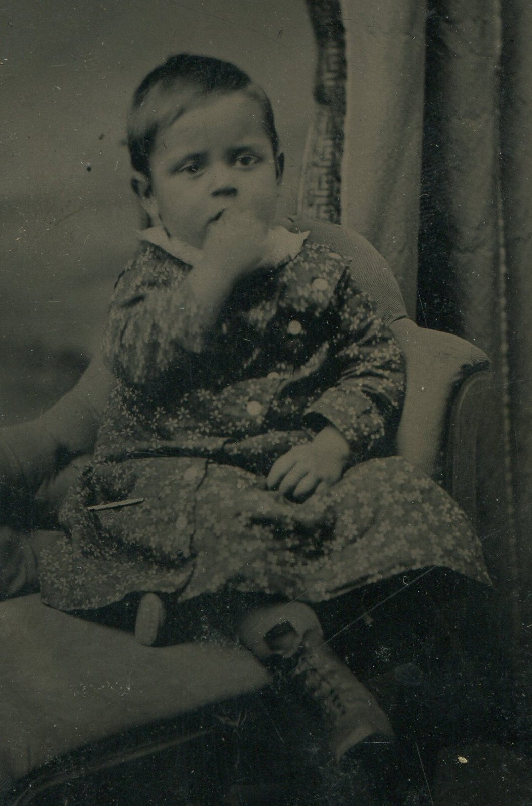 Tintype Toddler Snacking Portrait Seated, Vintage Original Photo 3.75x2.5