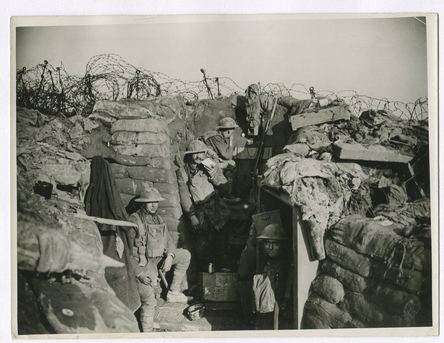 BRITISH SCOUT FROM FORWARD TRENCH. WWI (8X10 REPRINT)
