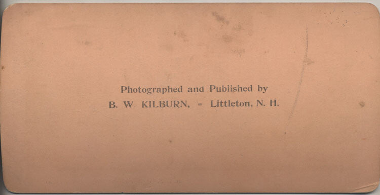 1901 STEREOVIEW OF THE GREAT BRIDGE W/ STEAM TRAIN CROSSING - MEMPHIS, TN