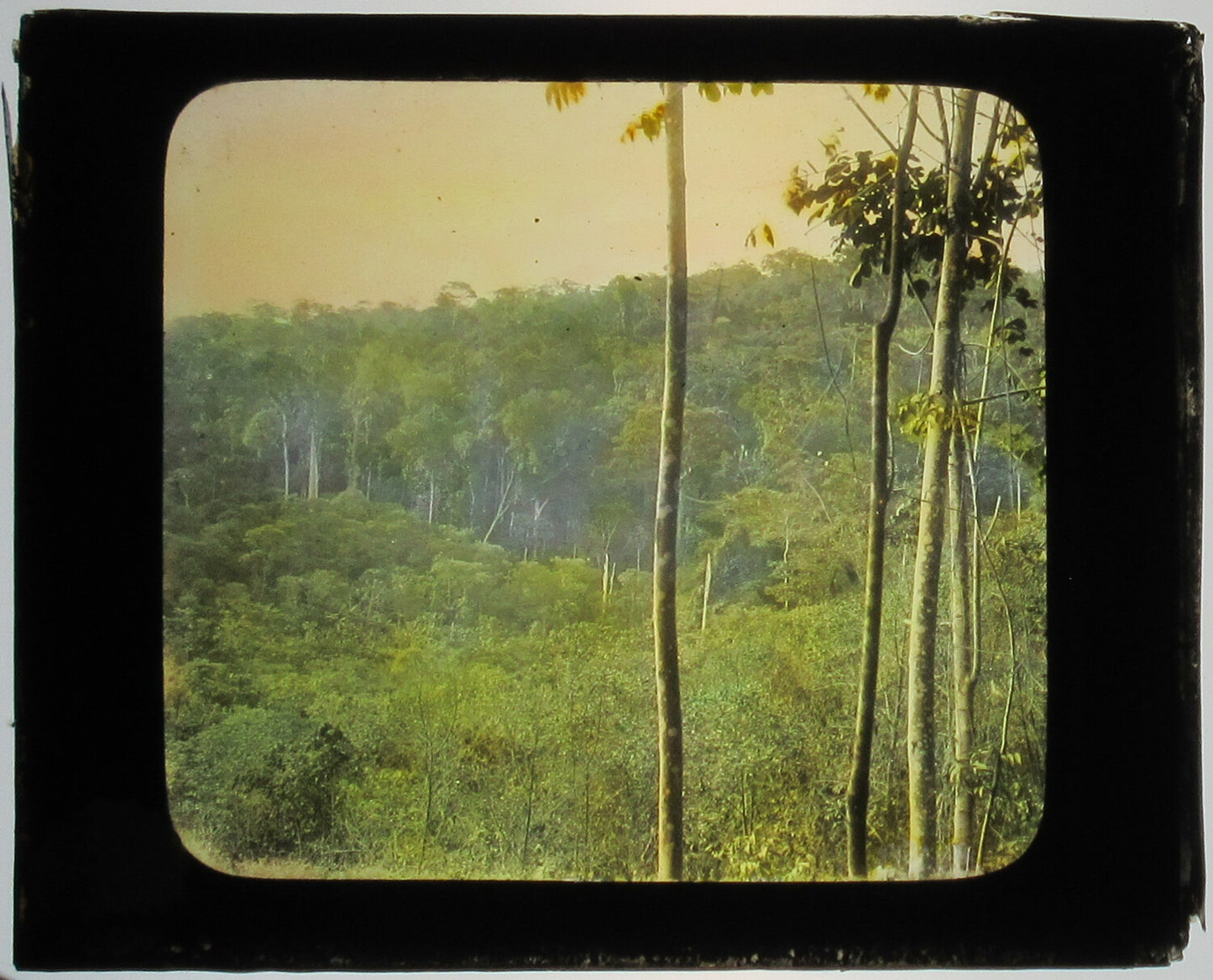 Vintage Tinted Photo on Glass - Hand-Colored, Ilheus, Brazil, 3.25 x 4 in, Original Lantern Slide