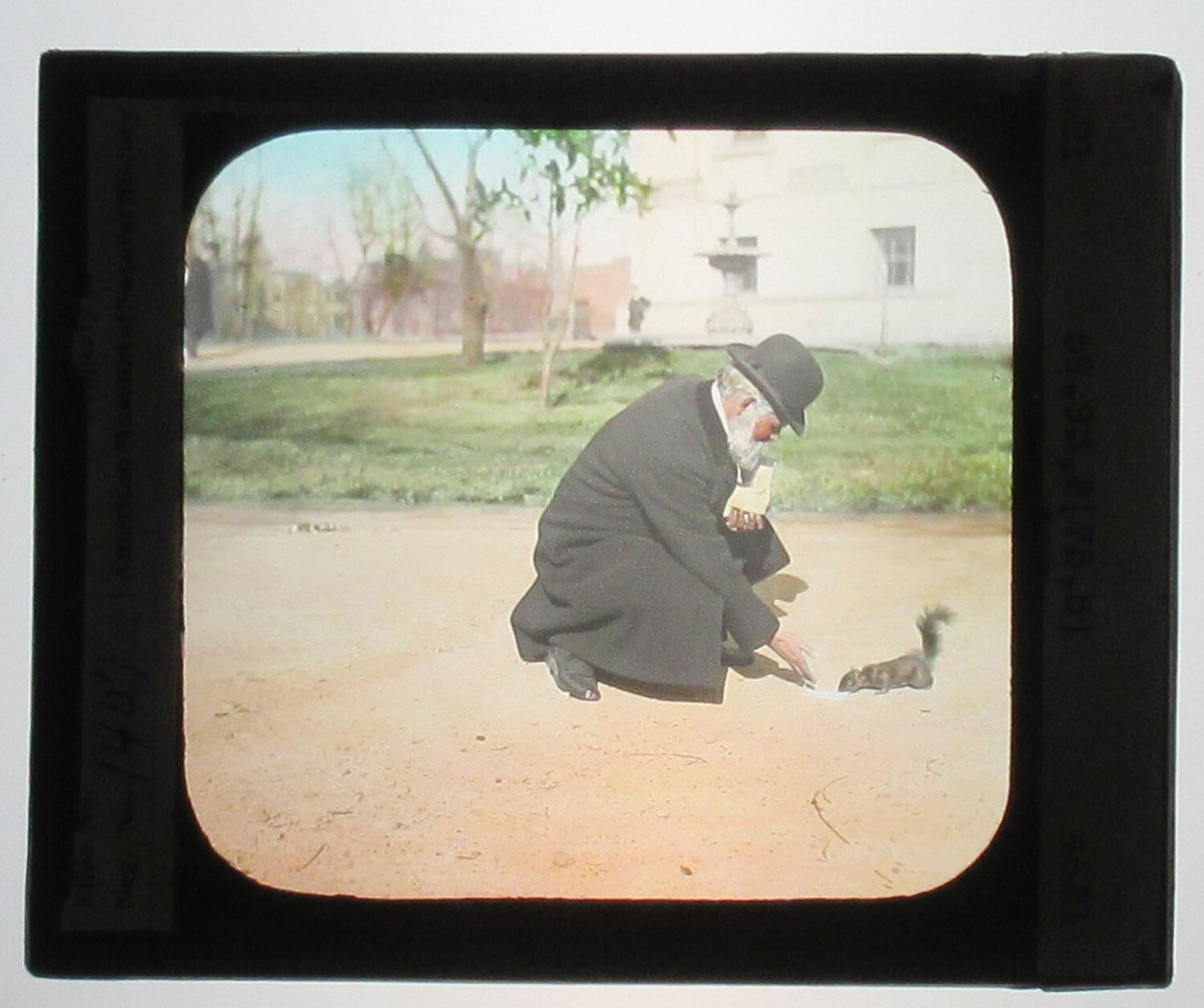 Vintage hand-colored glass lantern slide - Prof. Bockmore feeding gray squirrel, Richmond VA, 3x4 inches