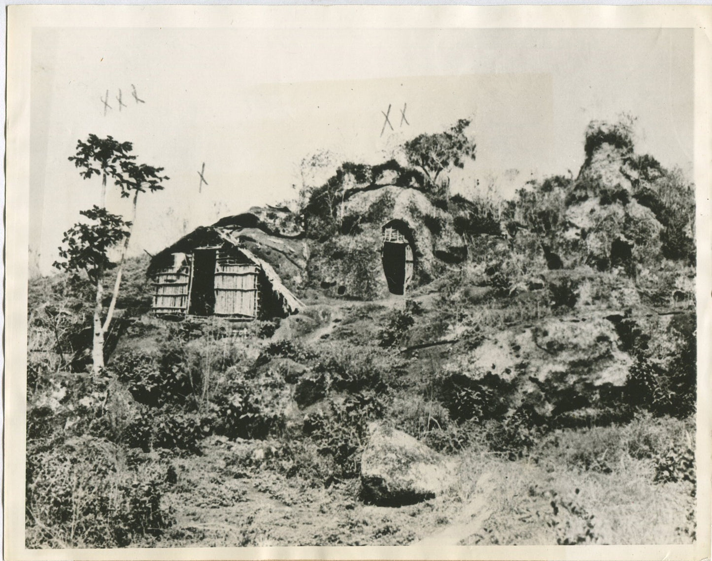 Vintage 8x10 Galapagos photo print: Dr. Friedrich Ritter's home, 1934 travel history wall art