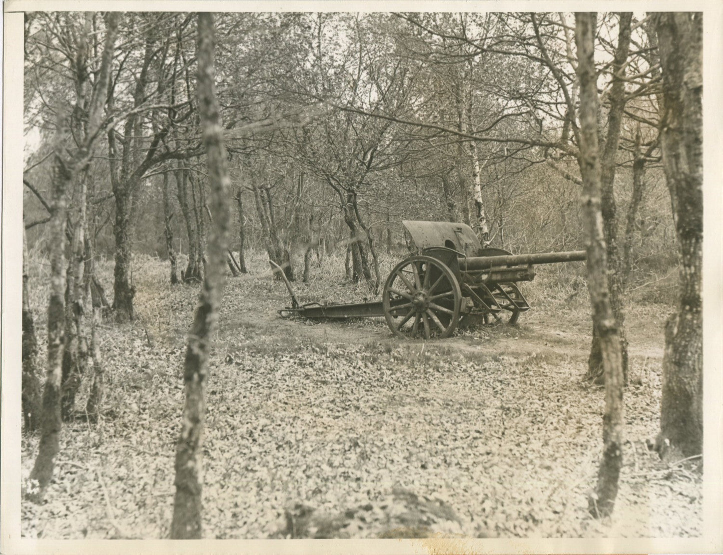 World War II Vintage 8x10 Reprint: Abandoned Artillery After Action - Historic