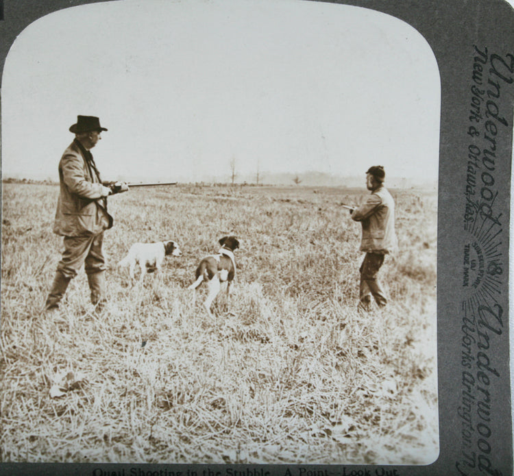 Hunters w/ Field Dog Stereoview