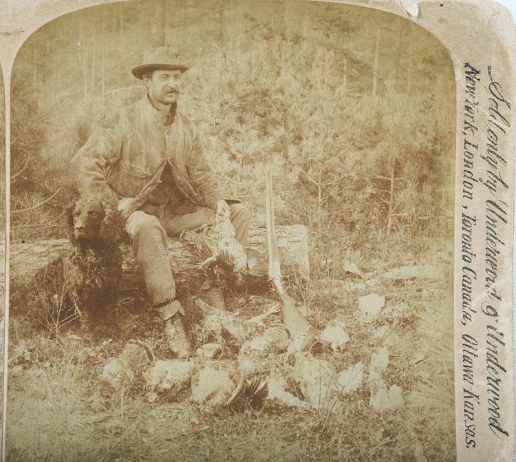 Hunter With Gun , Dog and Kills Stereoview
