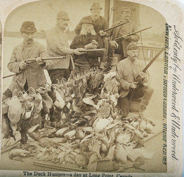 Duck Hunting With Guns 1893 Stereoview
