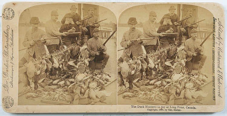 Duck Hunting With Guns 1893 Stereoview