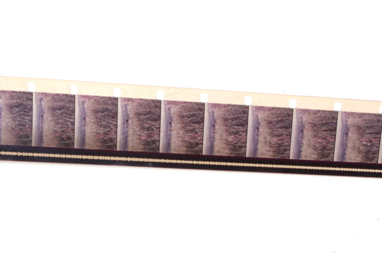 16mm Movie Film National Geographic Revolution Series