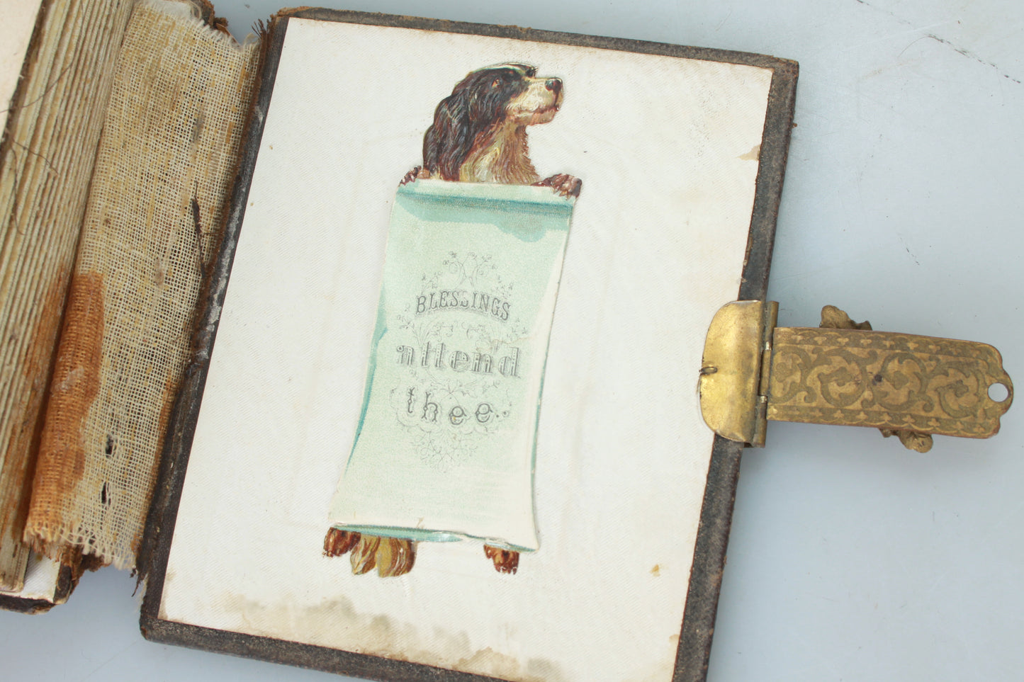 Vintage Photo Album 1860s