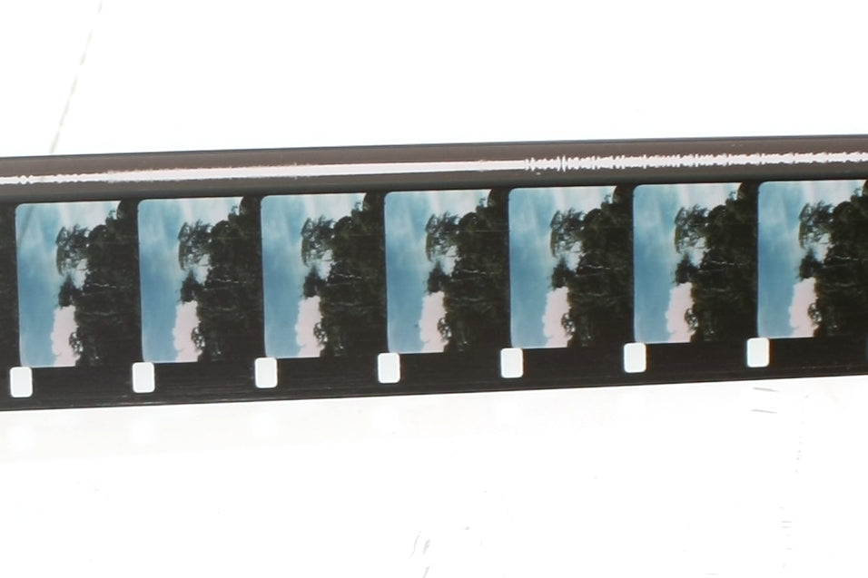 Movie Film 16mm 1600ft in Can Kodachrome U.S. Air Force Land Survival