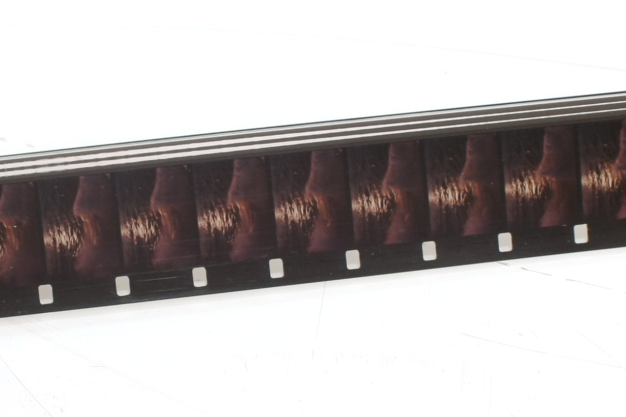 Movie Film Wings to Italy 16mm 1000ft