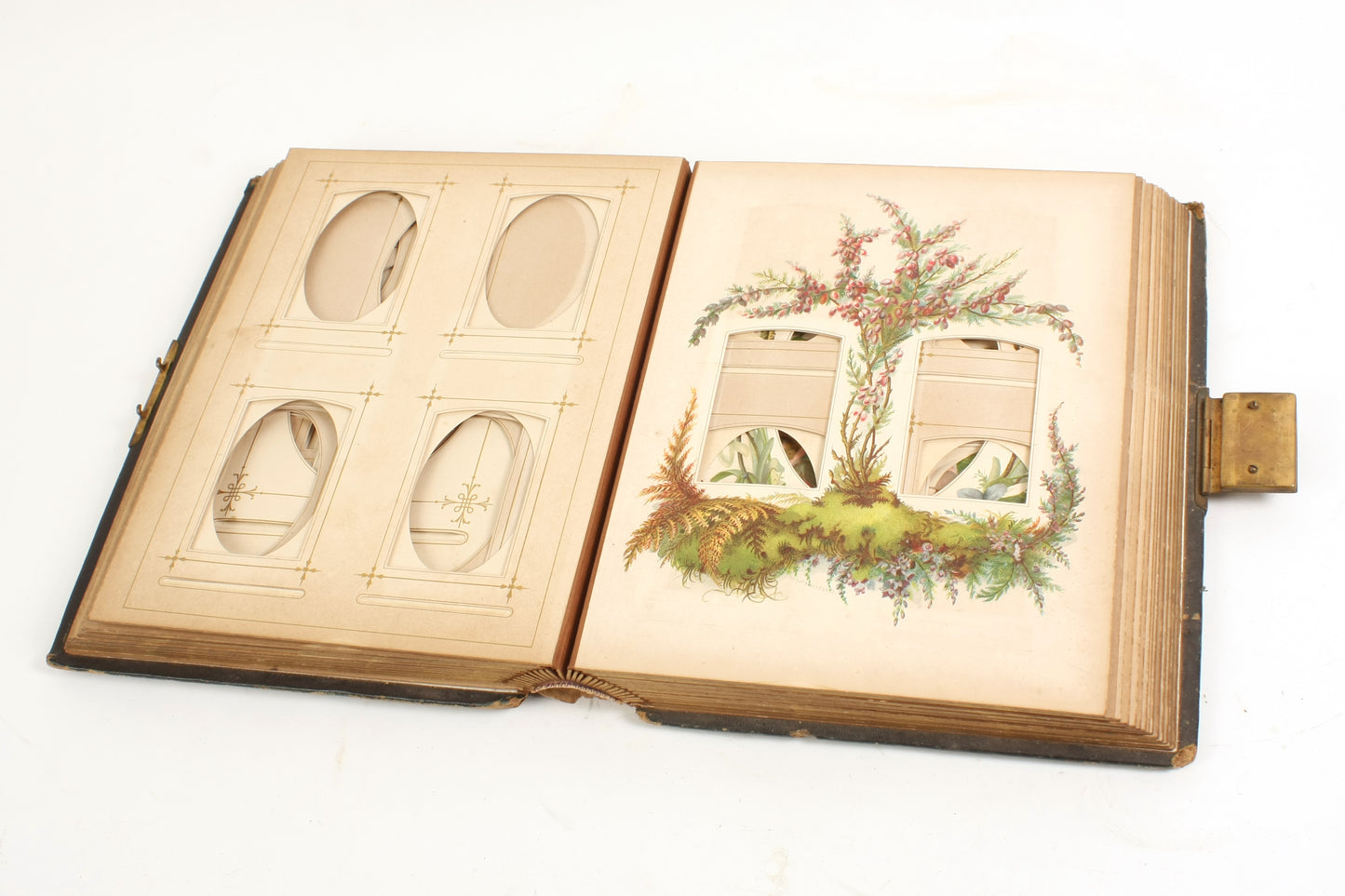 Antique Photo Album 1860s Cabinet Cards & CDVs W Floral Page Motifs