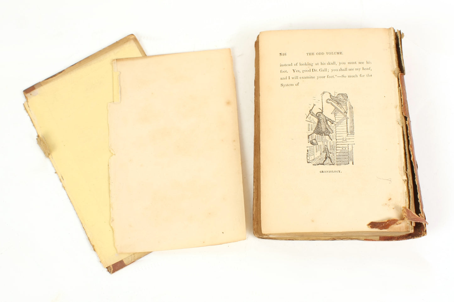 Robert Seymour Odd Volume or Book of Variety Illustrated by Two Odd Fellows