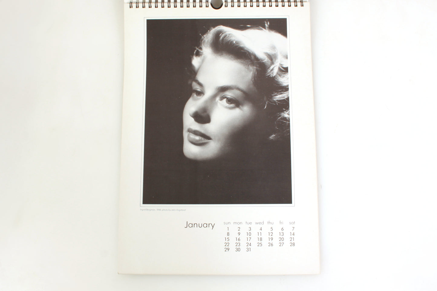 1989 Hollywood Portraits Lime Tree Calendar - Kobal Collection - England, UK