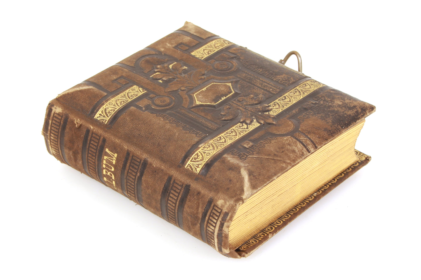 Antique Photo Album CDV 1860s