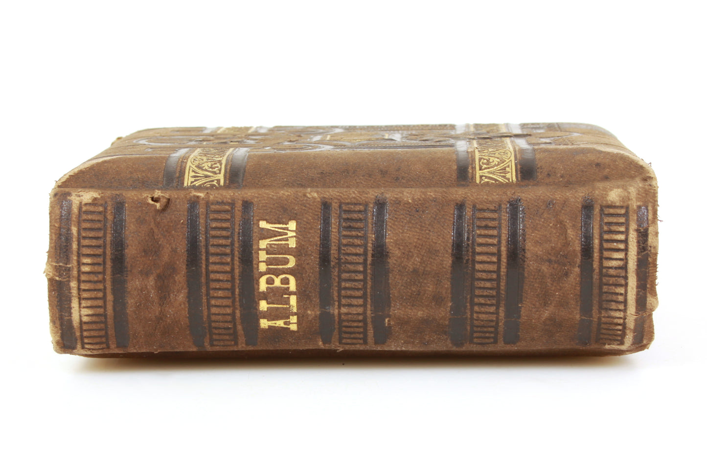 Antique Photo Album CDV 1860s