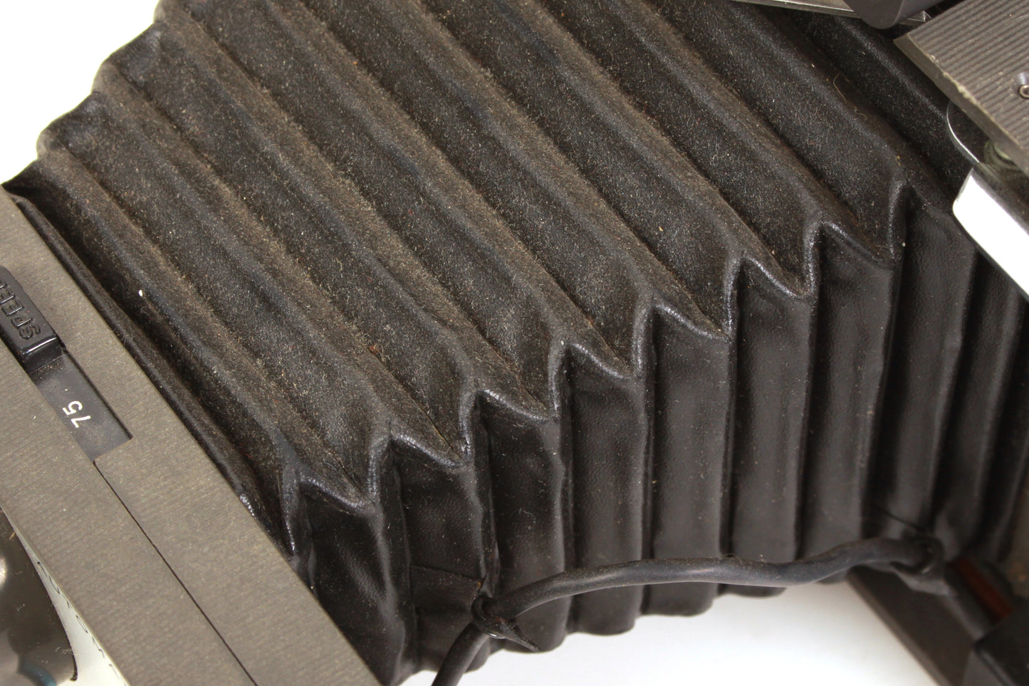 Polaroid Land Camera Automatic 210