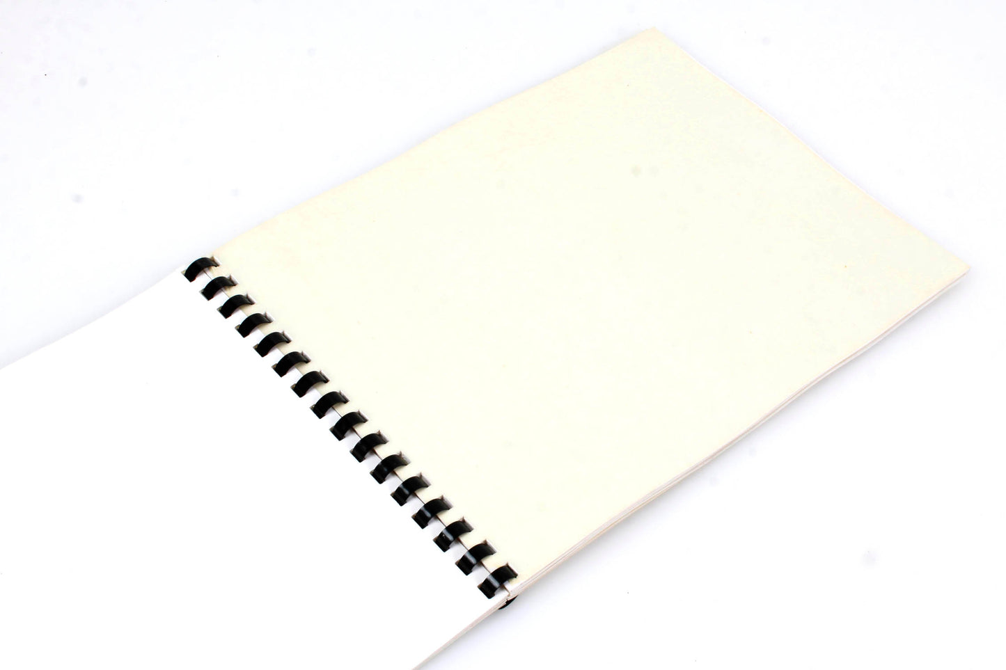 Photographic Lintless Blotter Book
