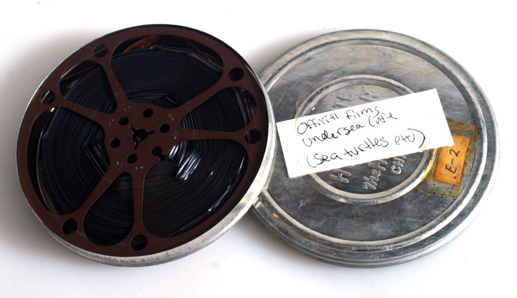 UNDERSEA LIFE BY OFFICIAL FILMS, 8MM MOVIE FILM