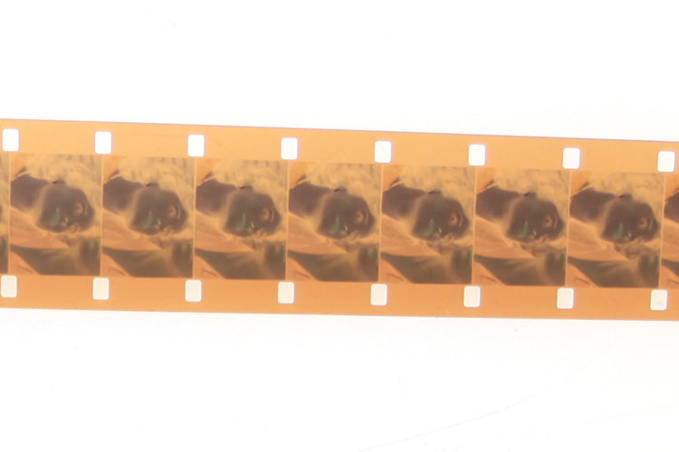 Movie Film Found Footage 16mm 3500+ Ft
