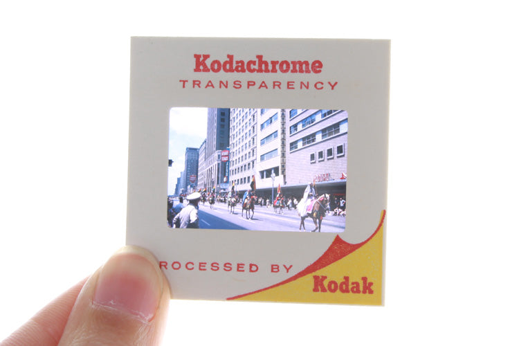 Family Found Image Slides, Large Lot