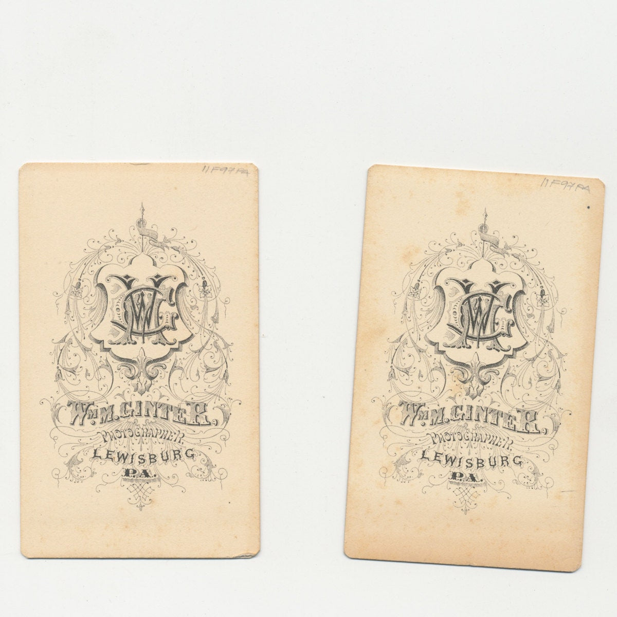 Set of 2 Vintage 1800's CDV Photo Card of 2 Young Sisters with Curls and White Dress//Antique Portrait of Sisters//Vinatge Cute Little Girls