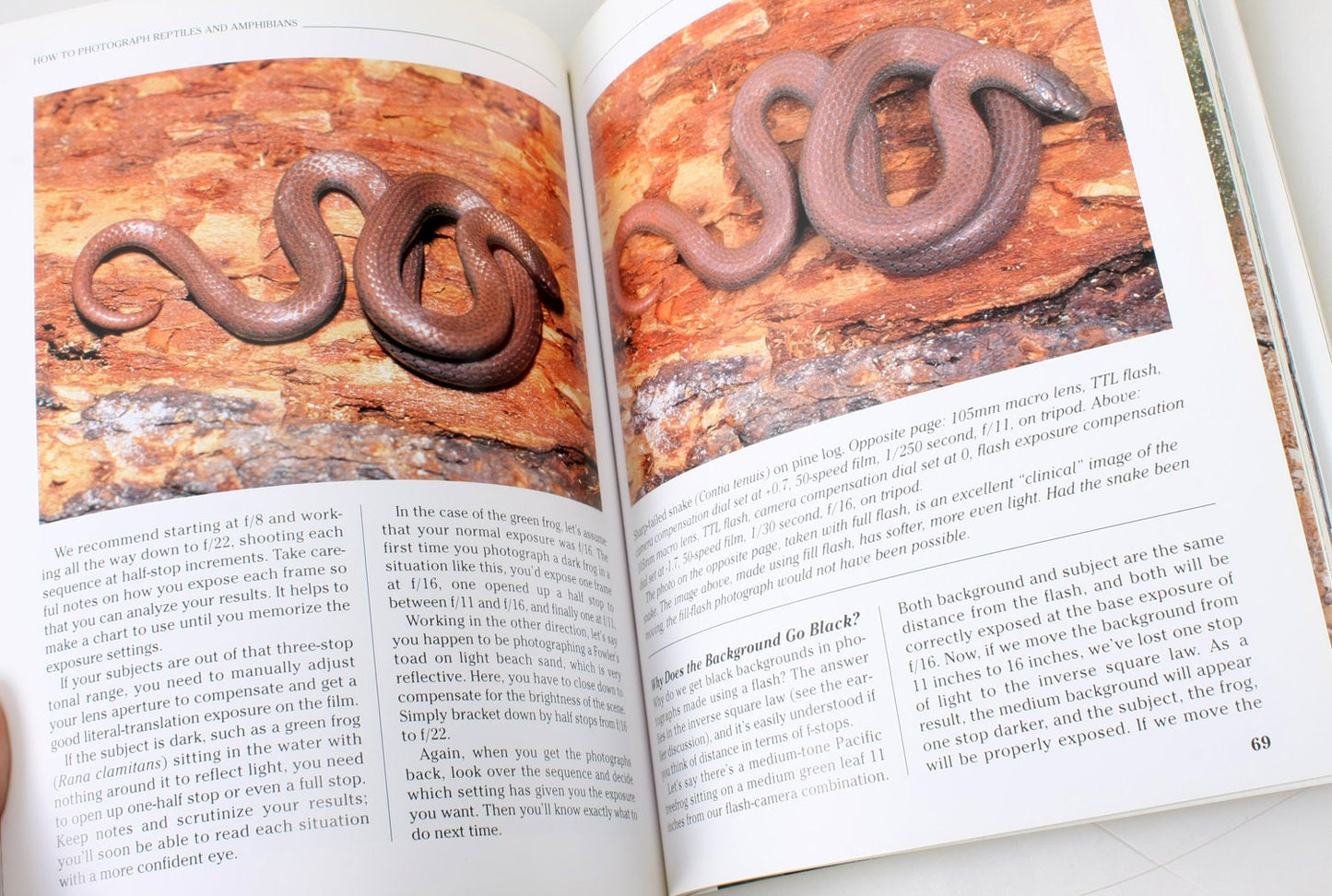 How to Photograph Reptiles & Amphibians Book//Self Help Photography//Non-fiction