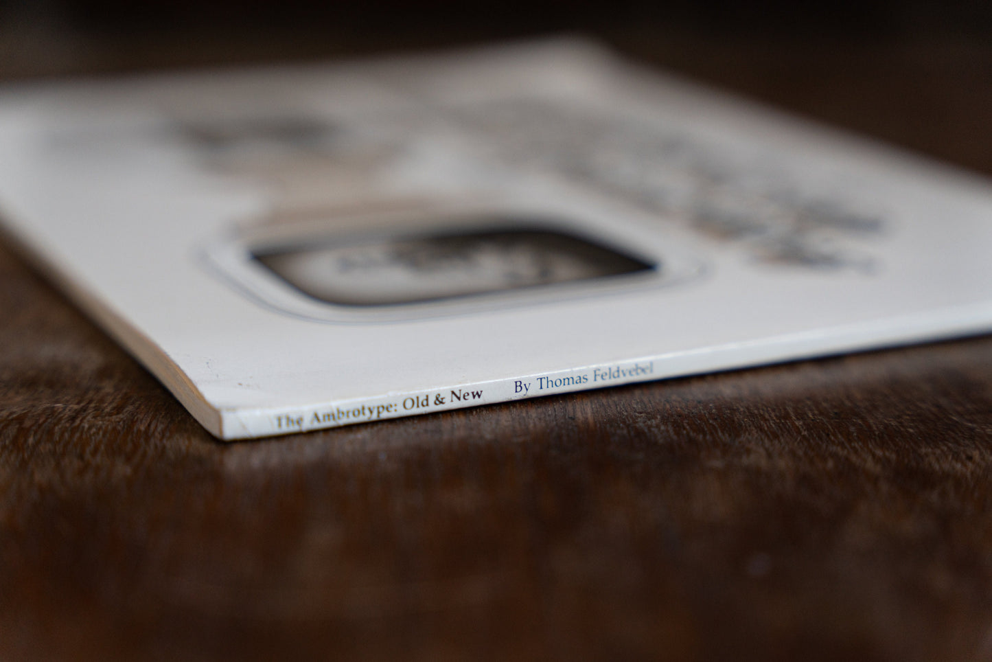 The Ambrotype: Old and New by Thomas Febdvebel