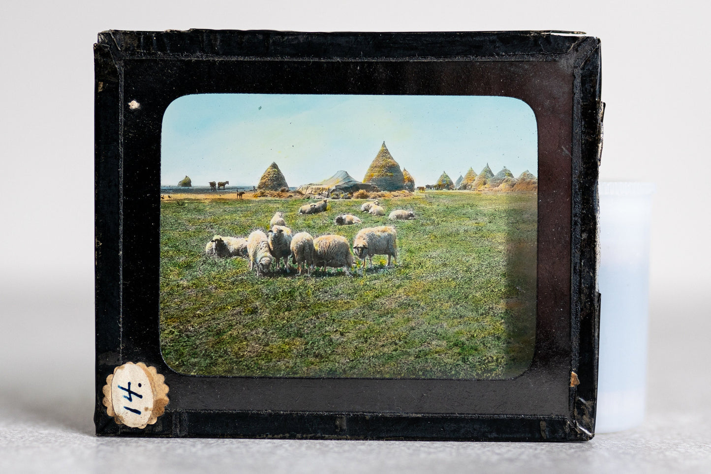 Sheep in Morocco Magic Lantern Color Glass Slide