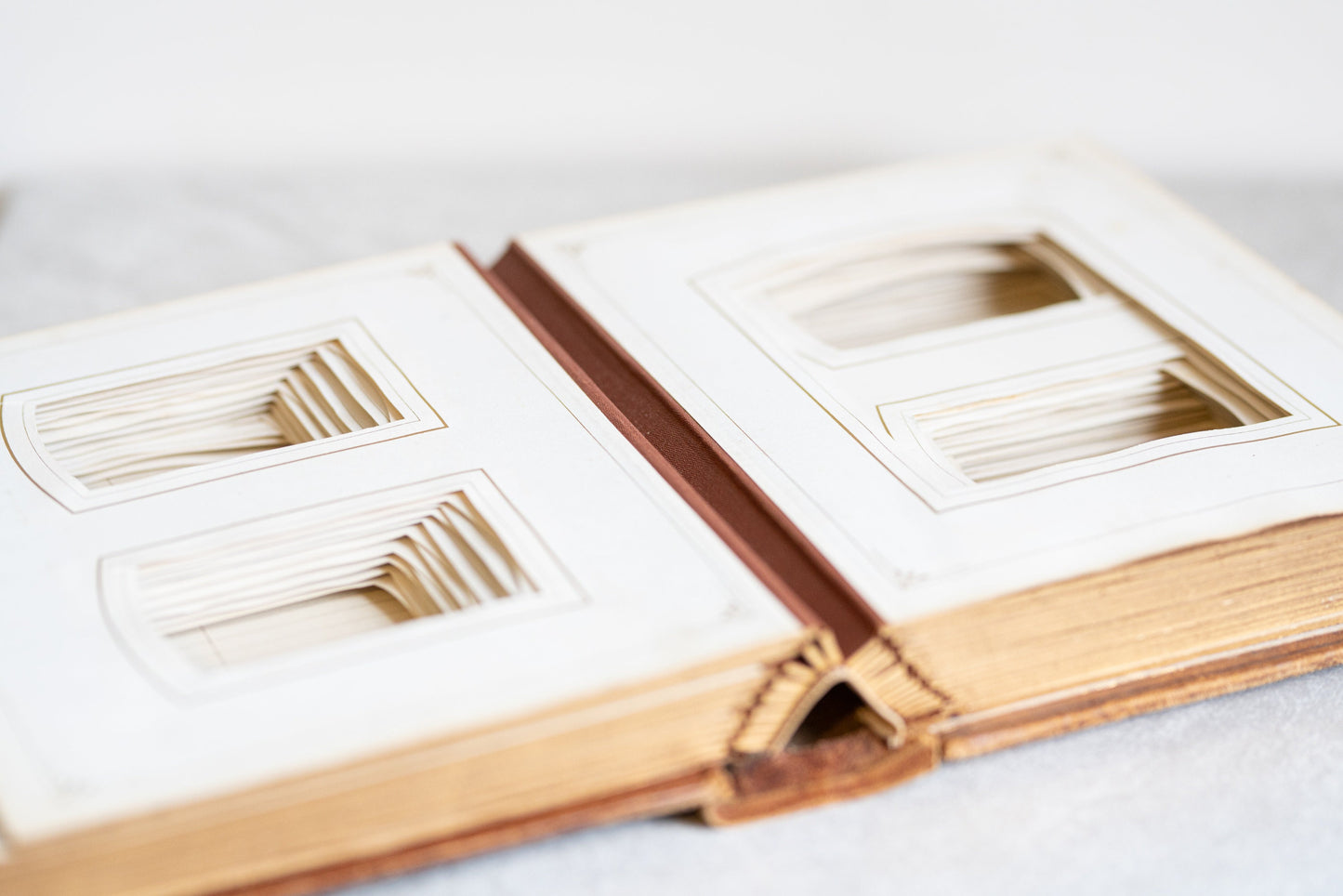 Vintage Photo Album - Circa 1860s - for CDV and Cabinet Cards