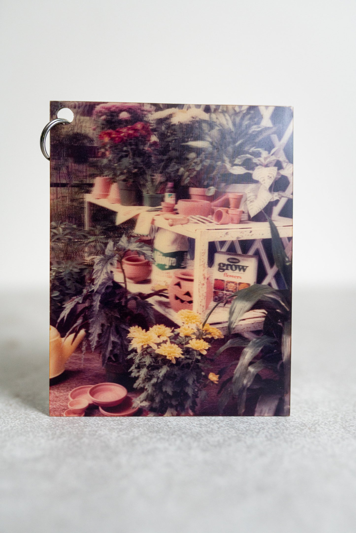 3D Printed Photos of Assorted Snapshot Moments - Lenticular Prints - Lot of 3