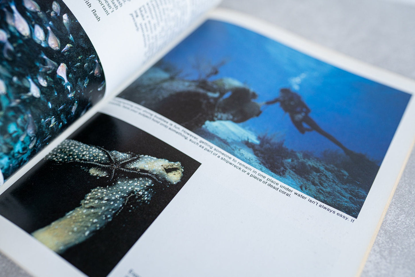 How to Photograph Water Sports and Activities by Rick and Susan Sammon