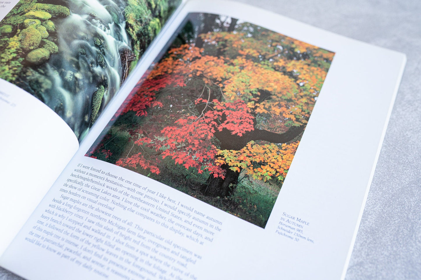 John Shaws Focus on Nature