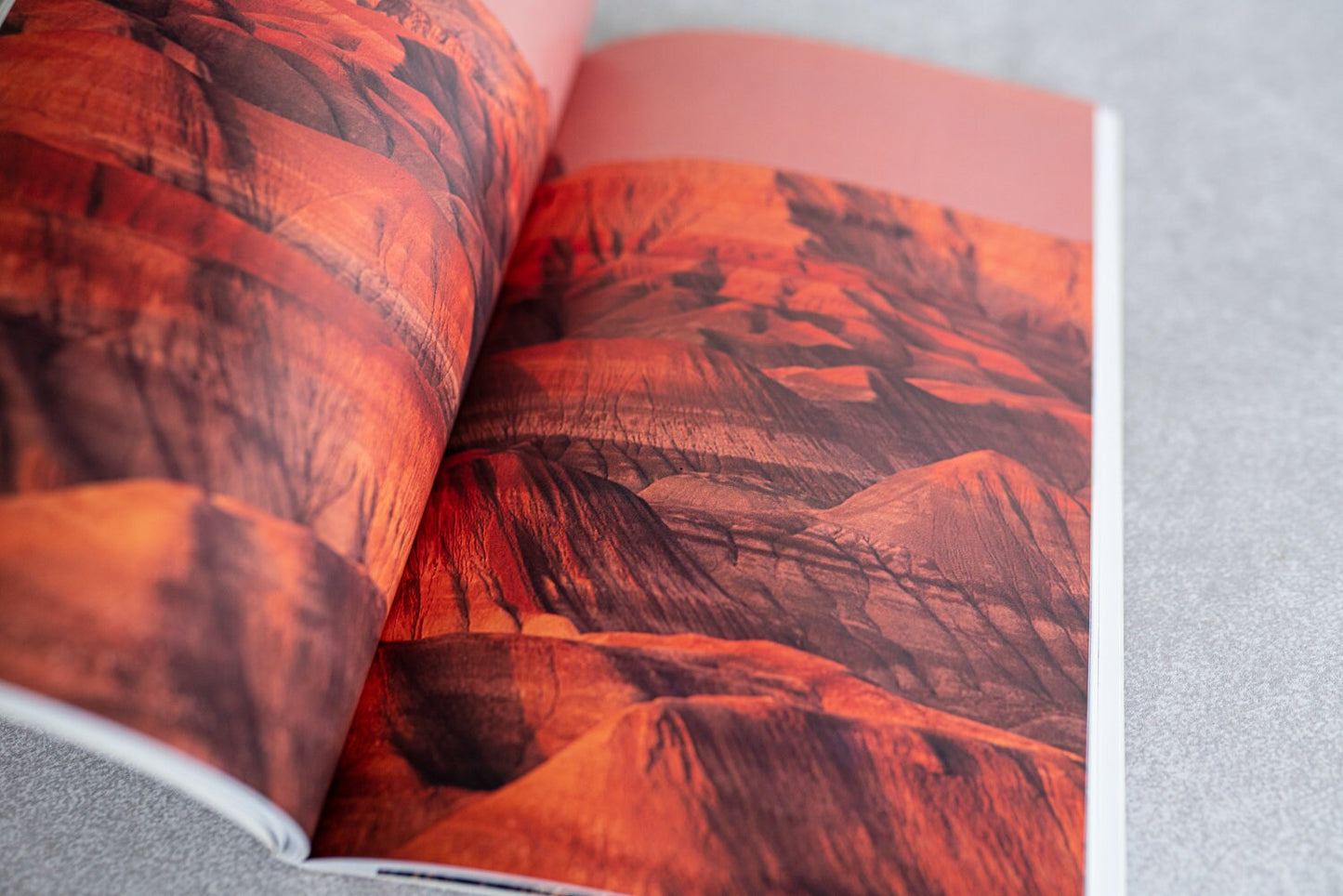 The Field Guide to Photographing the Seasons by Allen Rokach and Anne Millman