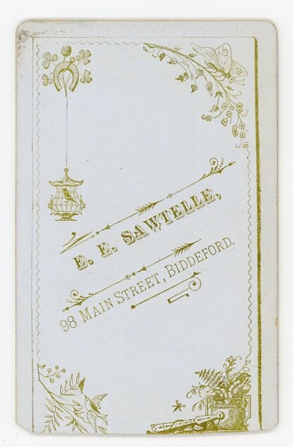 Portrait of Striking Lady - E. E. Sawtelle - Biddeford, Maine - Vintage CDV