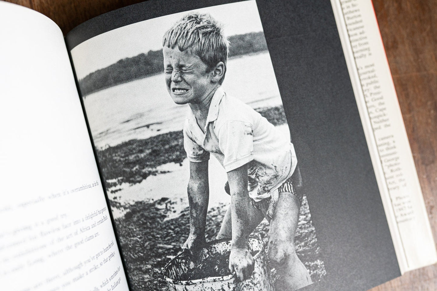 Look at Us, Etc. Etc. by Arthur Rothstein - Words by William Saroyan - 1967