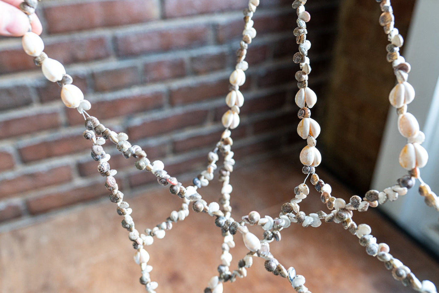 Sea Shell Plant Hanger