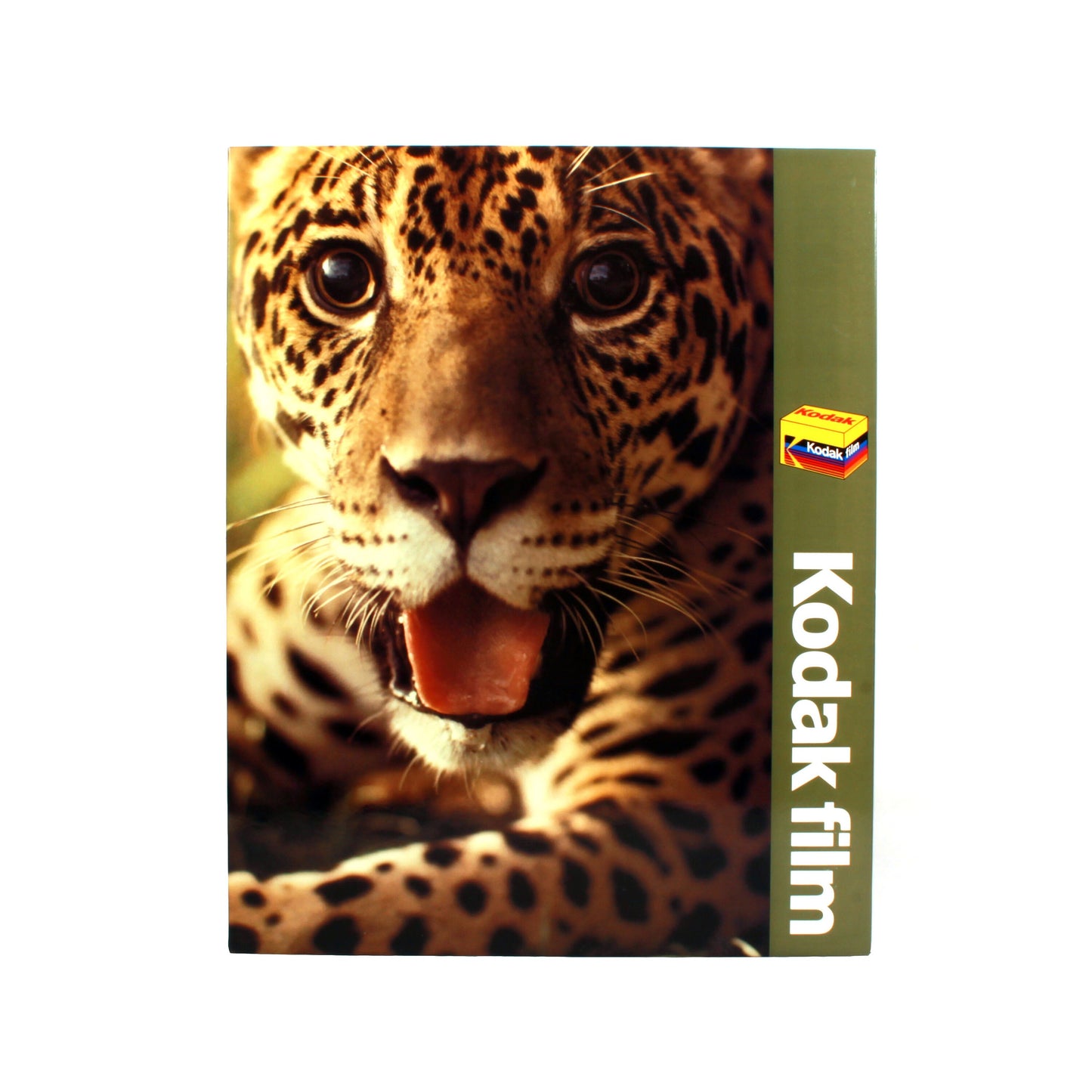Vintage Kodak Film Promotional Mounted Poster 16x20 - Leopard Portrait