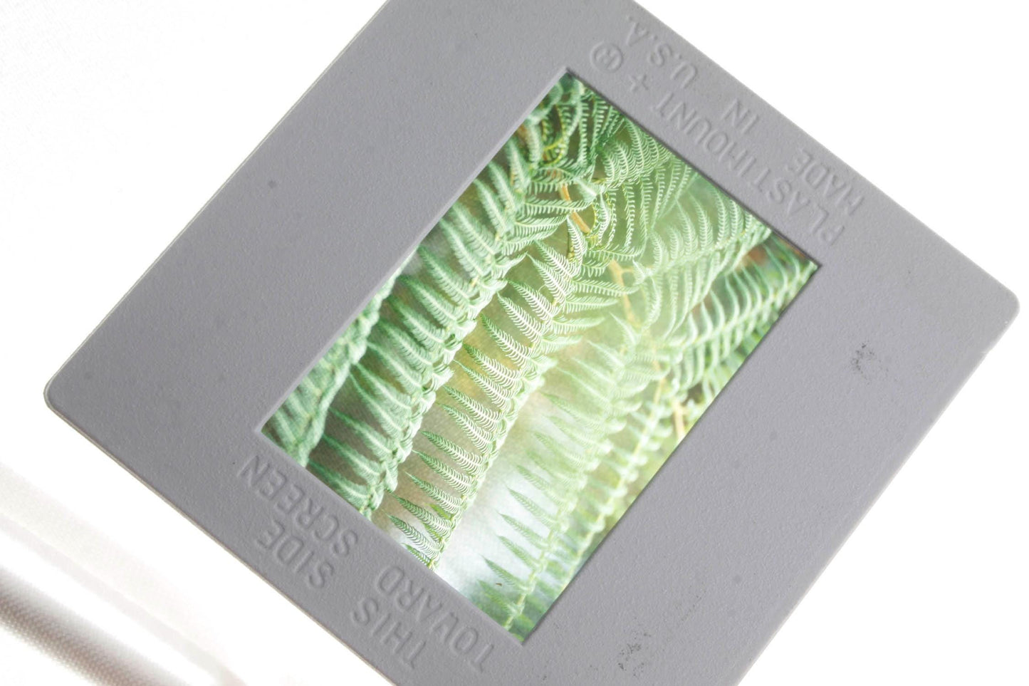 35mm Slides Lot of 100 Plus