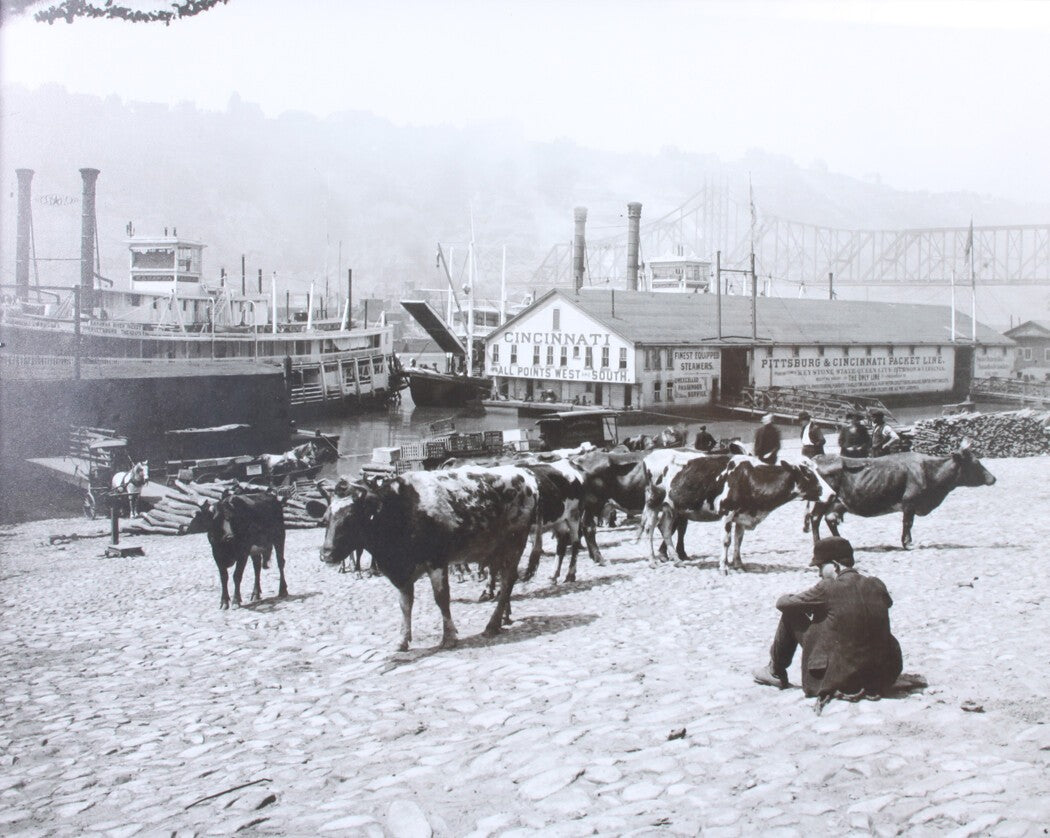 Vintage Monongahela Wharf Photo, Pittsburgh PA 1900s Black & White 8x10 Print in