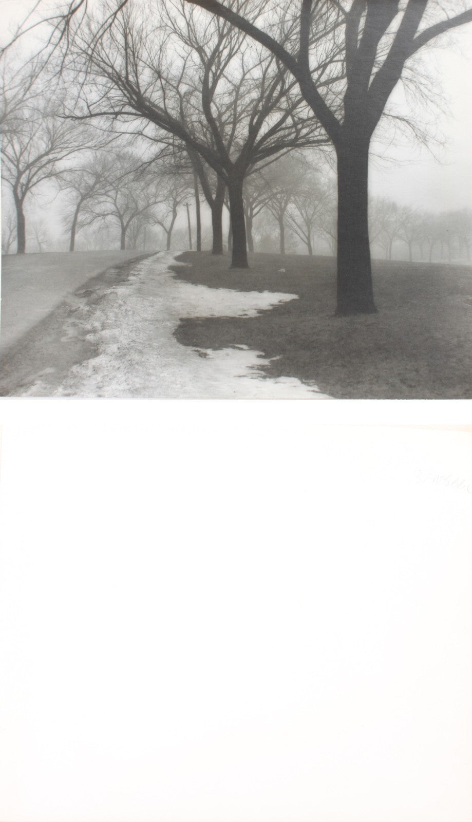 Vintage Pictorialism Photo: Tree-Lined Path, 13x15.5 Silver Print, Black & White