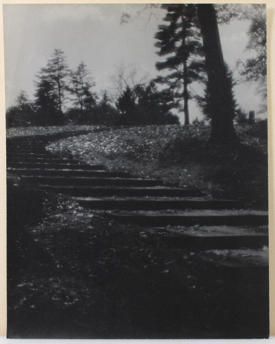 STAIRWAY TO HEAVEN OR MAYBE JUST UP THE HILL. PARK SETTING. 11 X 14 INCH PRINT.