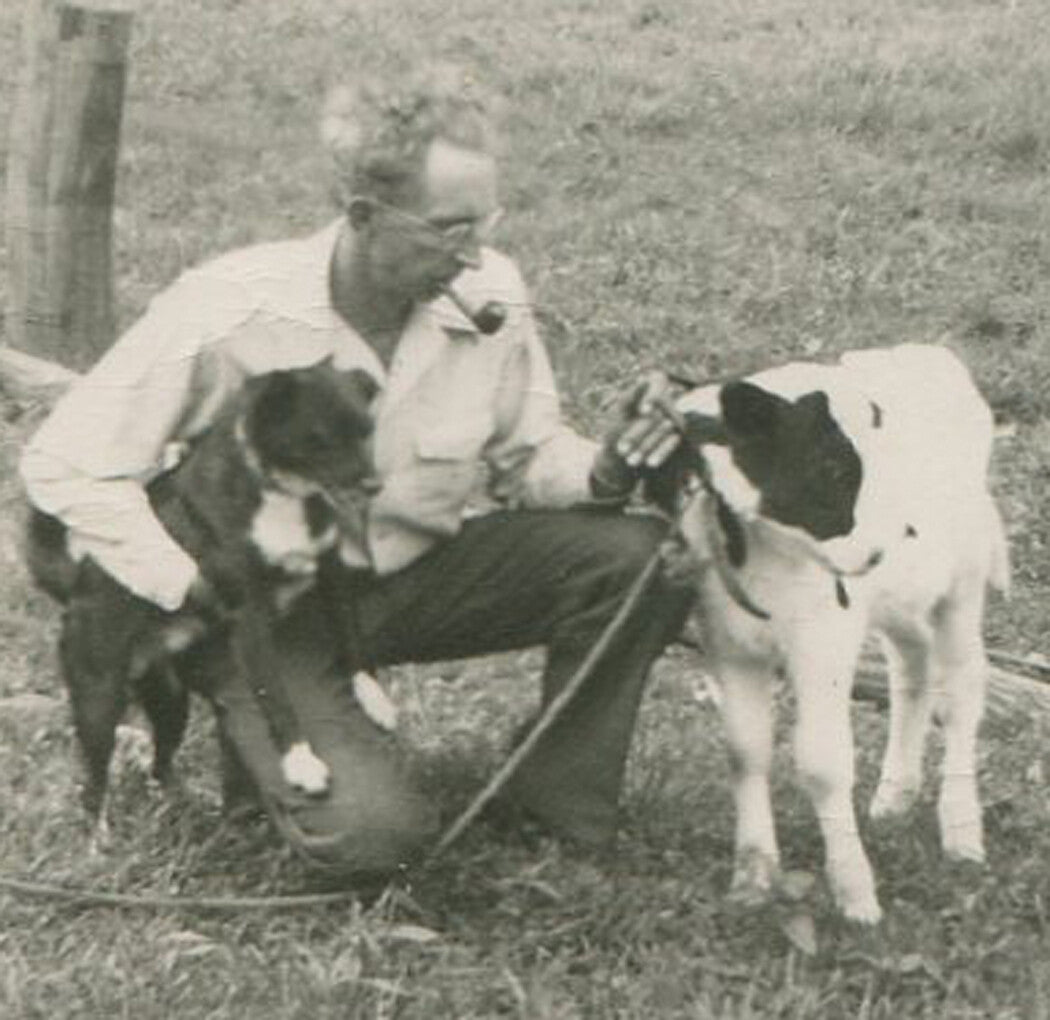 FAMILY ON FARM WITH LIVESTOCK. 4 SET SILVER PRINTS.