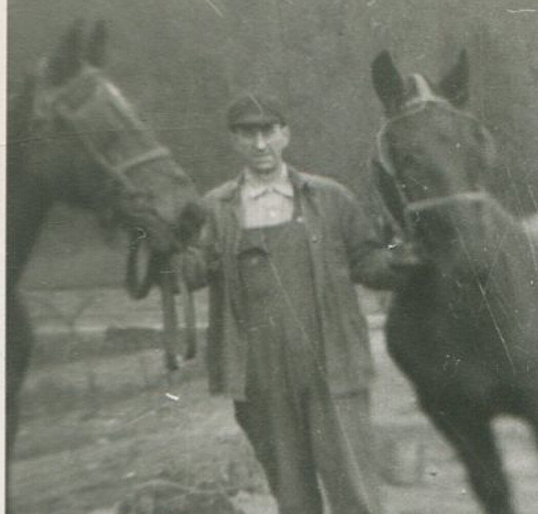FAMILY WITH THEIR HORSES. 3 SET PHOTOS, 1920s. B W.