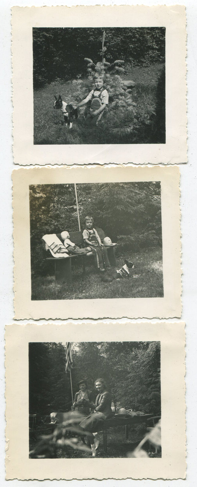 CHILD WITH DOLL AND PET DOG. 3 SET B W PHOTO, 1920.