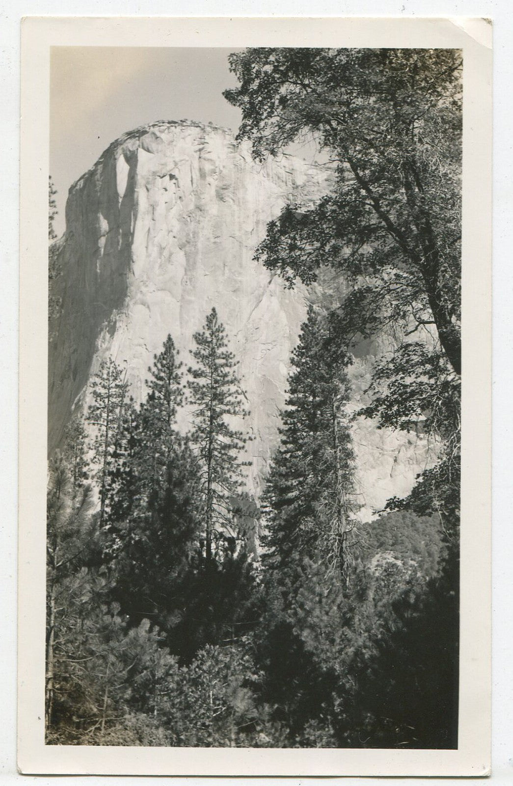 Vintage Yosemite El Capitan B&W Photo, 1940s–1950s, 2.75x4.5 in Travel Wall Art