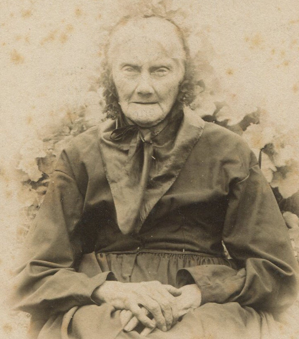 Vintage Cabinet Card Photo: Old Woman Bursting Through Garden Wall, Victorian
